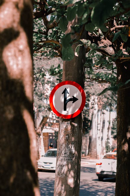 A traffic sign attached to a tree in a residential street indicating that vehicles can go straight or turn right. The sign features a white background with black arrows pointing straight ahead and to the right, enclosed within a red circular border. The tree has textured bark and large green leaves, partially shading the sign. In the background, there are parked cars on the street, including a white vehicle, and some buildings visible further along the road. The scene is taken during daylight with shadows cast by the trees, highlighting a typical urban environment suitable for house removals and moving logistics, as referenced in the page about house relocations from RM8 with Man with Van Becontree.